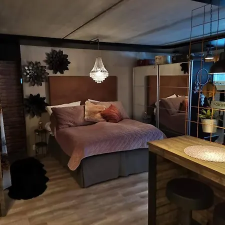 度假居 Loft By The Asunto Omakotitalon Alakerrassa Ylojarvi