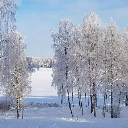 Loft By The Asunto Omakotitalon Alakerrassa * Ylojarvi