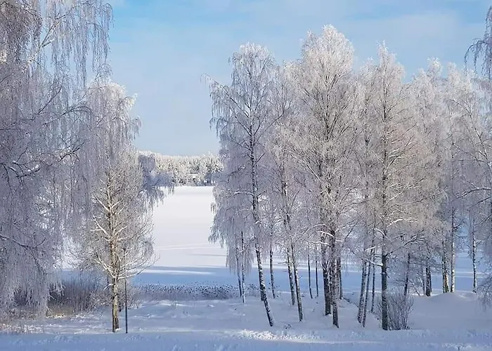 Loft By The Asunto Omakotitalon Alakerrassa * Ylojarvi